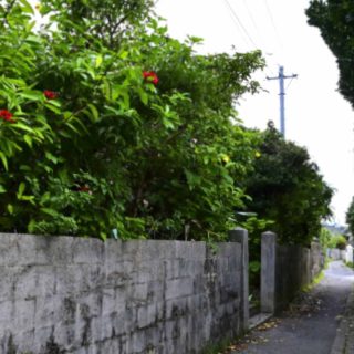 見慣れた沖縄の街並み（4）